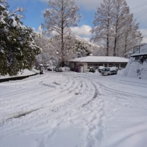 内子町大雪の道路
